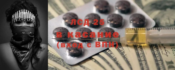 стафф Новодвинск