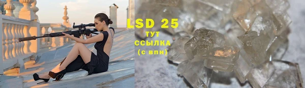 стафф Новодвинск