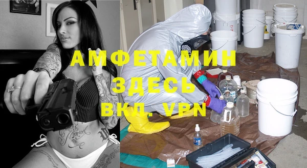 стафф Новодвинск