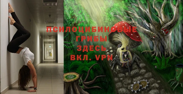 спиды Сясьстрой