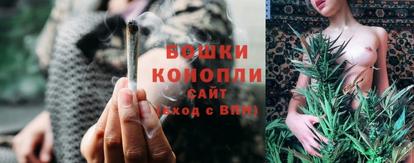 эйфоретик Новокубанск