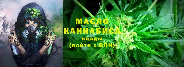 стафф Новодвинск