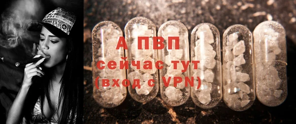 стафф Новодвинск