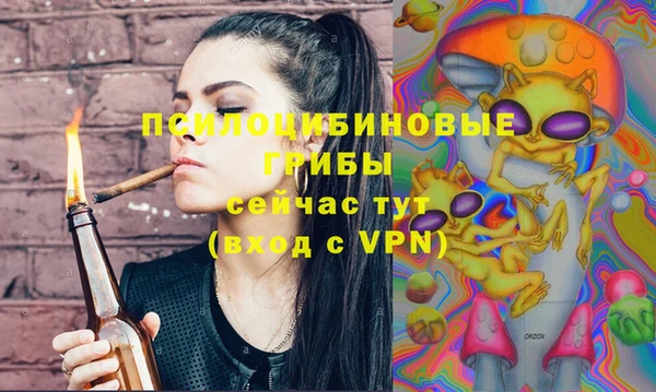 эйфоретик Новокубанск
