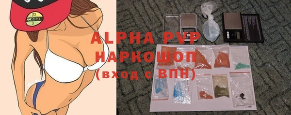 стафф Новодвинск