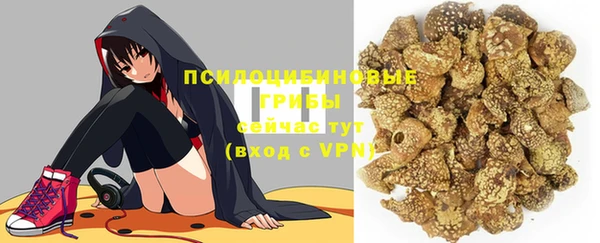эйфоретик Новокубанск