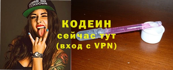 стафф Новодвинск