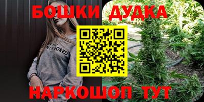 прущие крисы Балахна