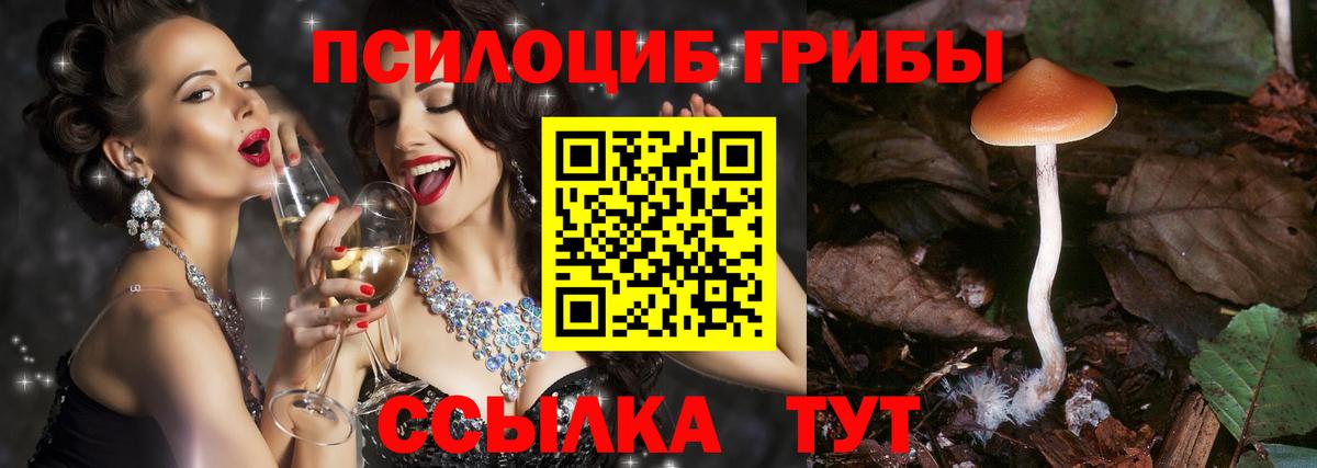 Псилоцибиновые грибы прущие грибы Борисоглебск