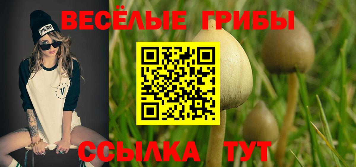 Борисоглебск  Псилоцибиновые грибы мухоморы  Вход с VPN  Галлюциногенные грибы ЛСД 