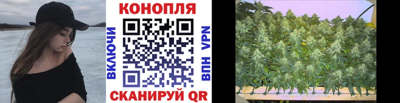 наркота  Борисоглебск  кракен сайт  Каннабис OG Kush 